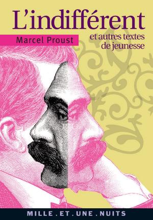 Cover of the book L'indifférent by Madeleine Chapsal