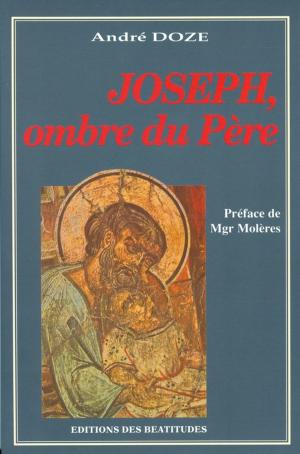 Cover of the book Joseph, ombre du Père by Patricia Mccarthy