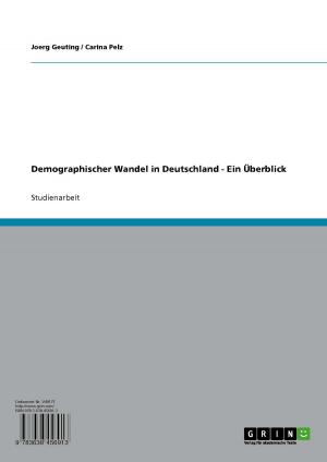 Cover of the book Demographischer Wandel in Deutschland. Ein Überblick by Jasmin-Nicole Schmid