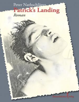 Cover of the book Patrick's Landing by J. Dankert