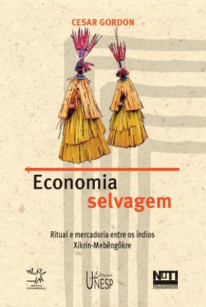 Cover of the book Economia selvagem by Marcelo Passini Mariano