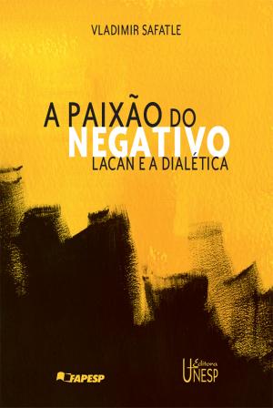 Cover of the book A paixão do negativo by Marcelo Passini Mariano
