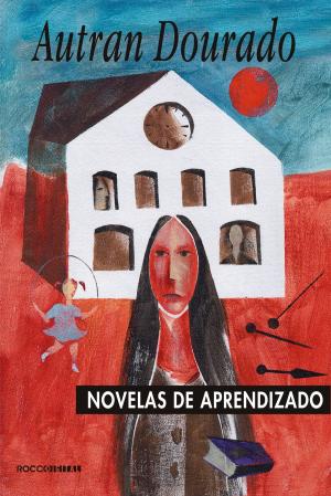 Book cover of Novelas de aprendizado