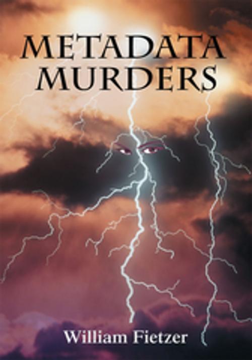 Cover of the book Metadata Murders by William Fietzer, iUniverse