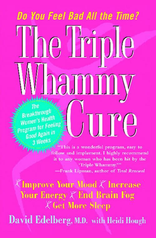 Cover of the book The Triple Whammy Cure by David Edelberg, M.D., Free Press