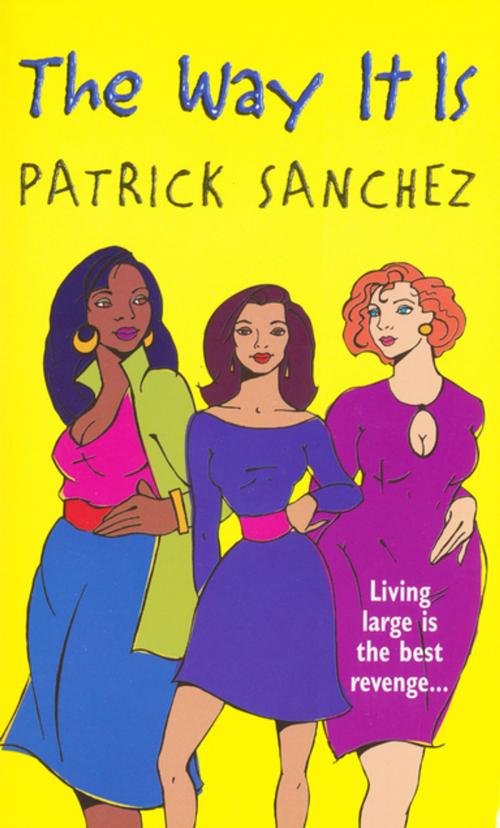Cover of the book The Way It Is by Patrick Sanchez, Kensington Books