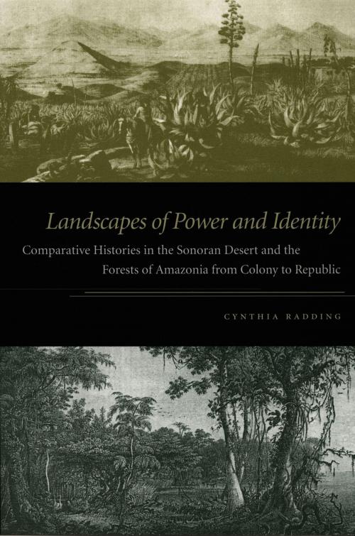Cover of the book Landscapes of Power and Identity by Cynthia Radding, Duke University Press