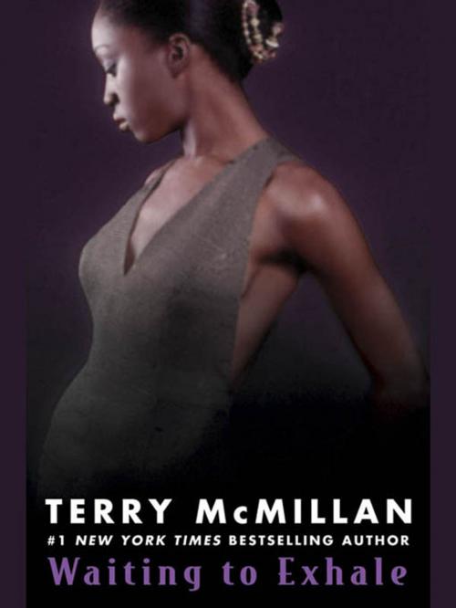 Cover of the book Waiting to Exhale by Terry McMillan, Penguin Publishing Group