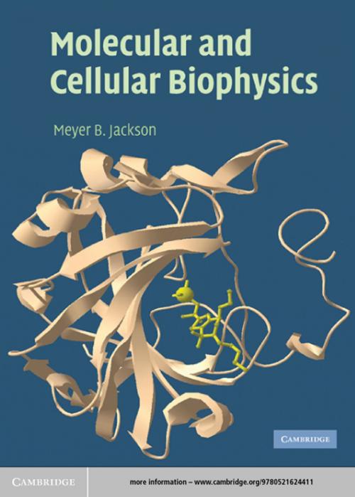 Cover of the book Molecular and Cellular Biophysics by Meyer B. Jackson, Cambridge University Press