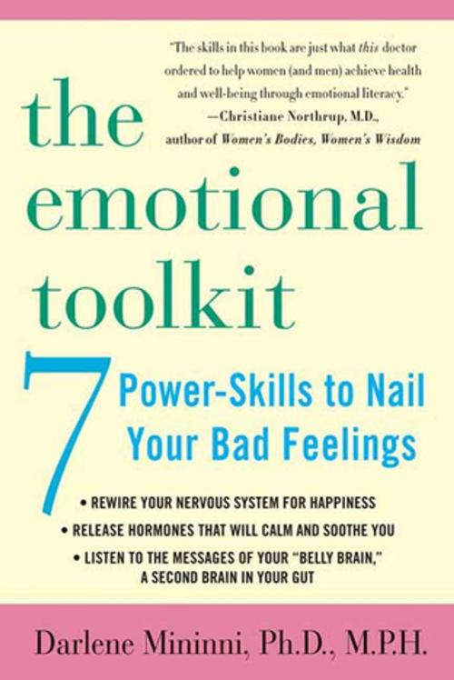 Cover of the book The Emotional Toolkit by Darlene Mininni, St. Martin's Publishing Group