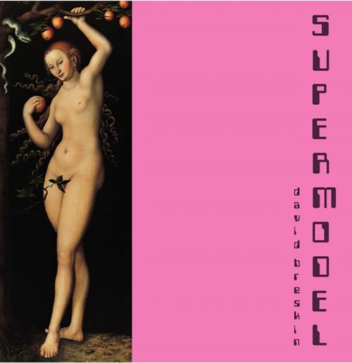 Cover of the book Supermodel by David Breskin, BookBaby