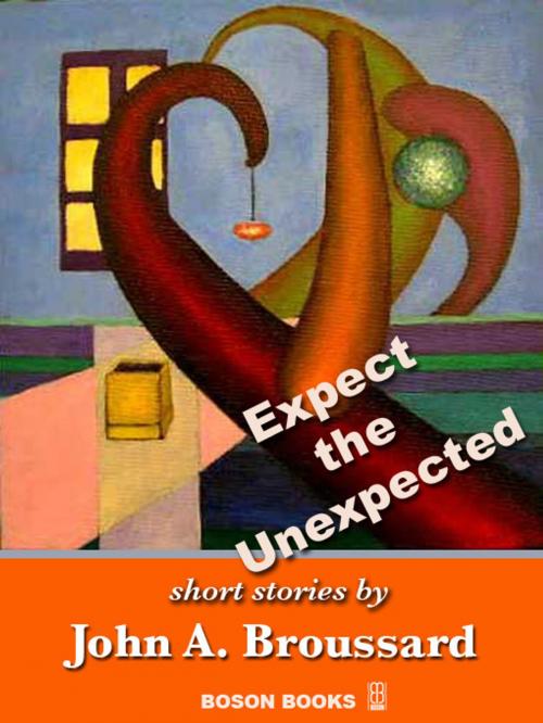 Cover of the book Expect the Unexpected by John. A.  Broussard, Bitingduck Press