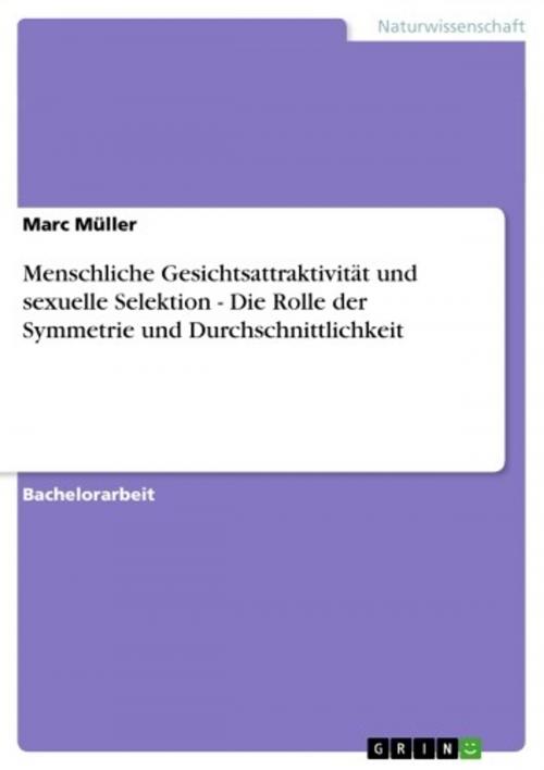 Cover of the book Menschliche Gesichtsattraktivität und sexuelle Selektion - Die Rolle der Symmetrie und Durchschnittlichkeit by Marc Müller, GRIN Verlag