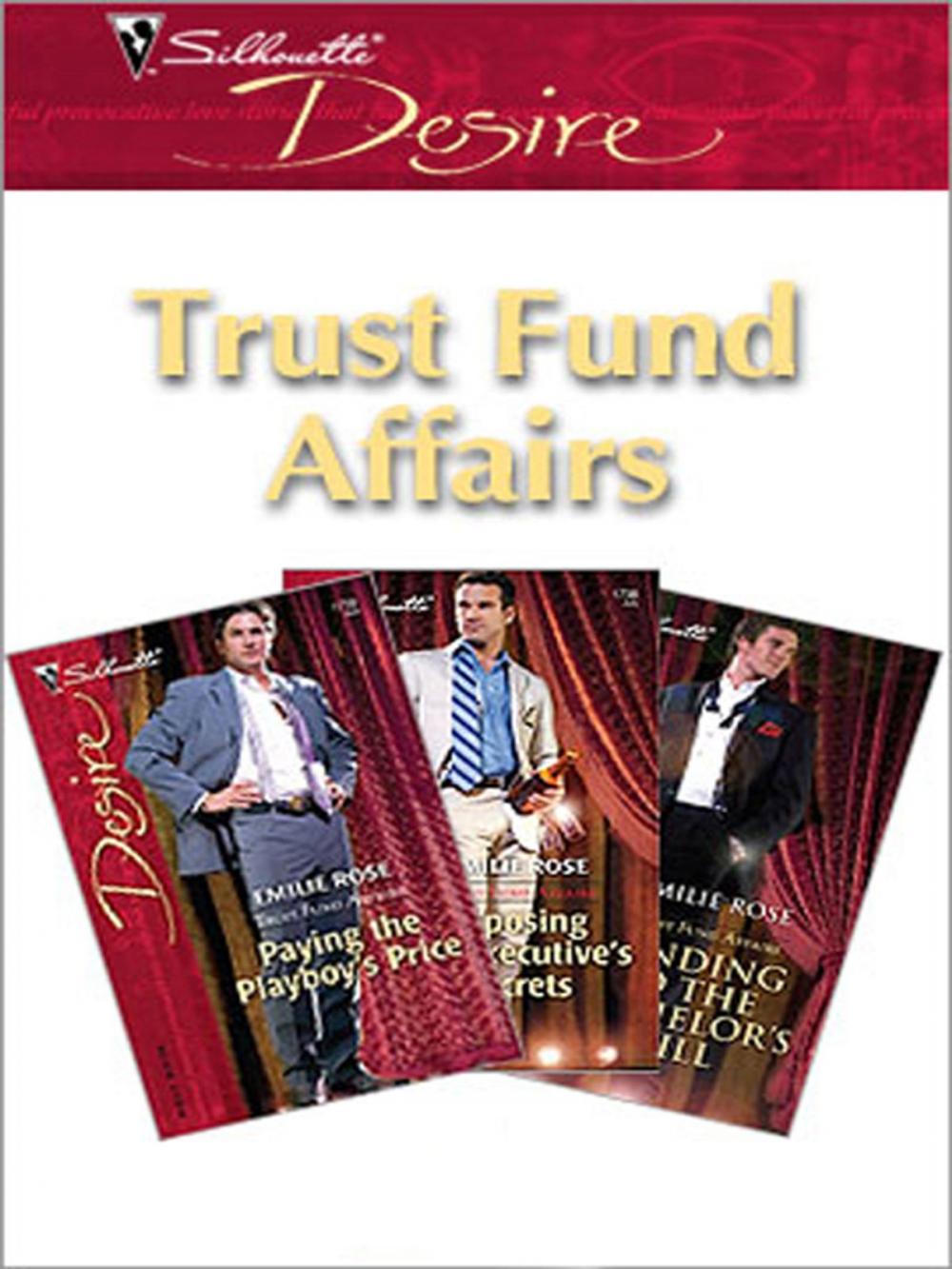 Big bigCover of Trust Fund Affairs