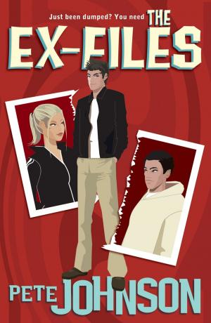 Cover of the book The Ex-Files by Myfanwy Jones