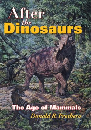 Book cover of After the Dinosaurs
