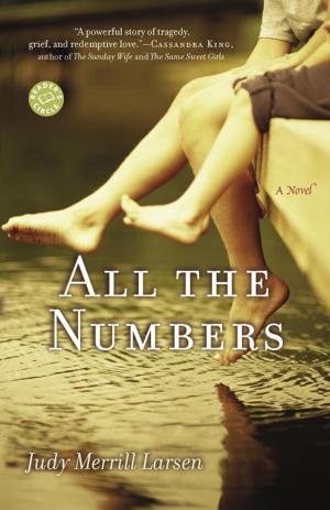 Cover of the book All the Numbers by Allie Spencer
