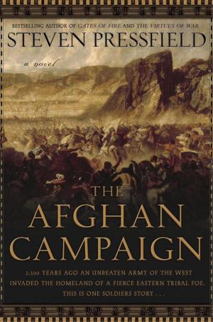 Book cover of The Afghan Campaign