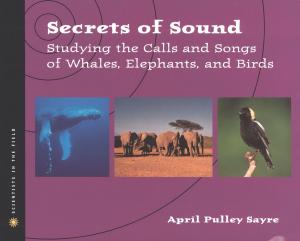 Cover of the book Secrets of Sound by H. A. Rey