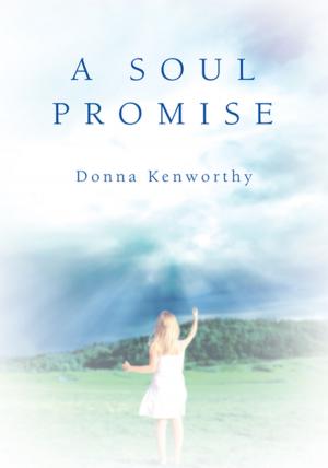 Book cover of A Soul Promise