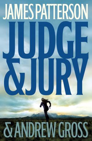 Cover of the book Judge & Jury by Nanci Kincaid