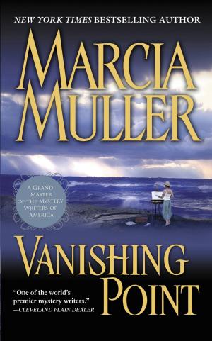Cover of the book Vanishing Point by Terry Jamison, Linda Jamison