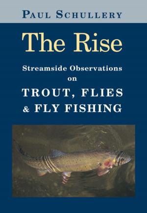 Book cover of The Rise