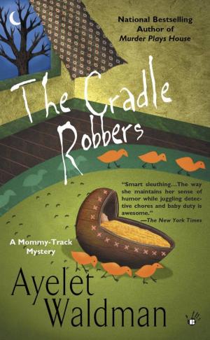 Cover of the book The Cradle Robbers by Andy Williams