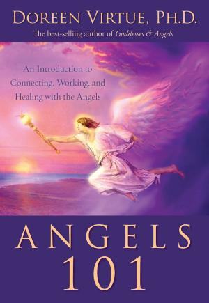 Cover of the book Angels 101 by Lesley Garner