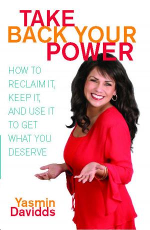 Cover of the book Take Back Your Power by StoneHouseSociety.com