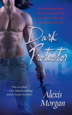 Cover of the book Dark Protector by Liz Carlyle