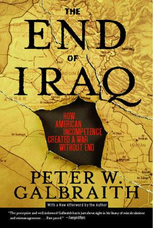 Cover of the book The End of Iraq by James Shapiro