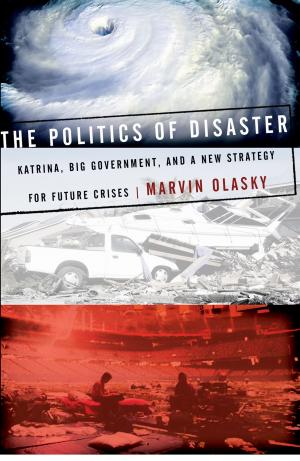 Cover of the book The Politics of Disaster by Sheila Walsh