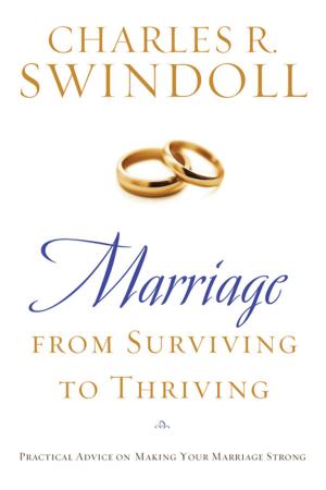 Cover of the book Marriage: From Surviving to Thriving by Constantine C. Menges