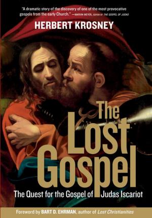 Cover of the book The Lost Gospel by Lee Berger, John Hawks