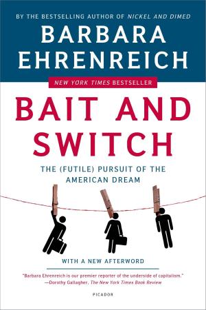 Cover of the book Bait and Switch by Benjamin Black