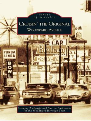 Cover of Cruisin' the Original Woodward Avenue