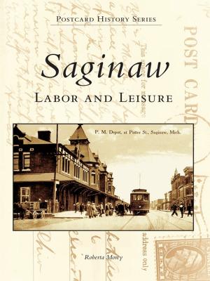 Cover of the book Saginaw by Kim J. Heltemes