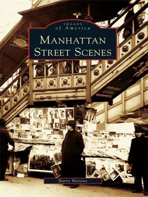 Book cover of Manhattan Street Scenes