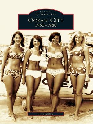 Cover of the book Ocean City by Sharon E. Gregor