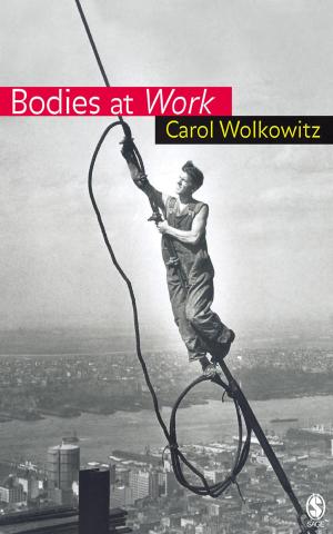 Cover of the book Bodies at Work by Professor Peter Grabosky, Dr. Michael S. Stohl