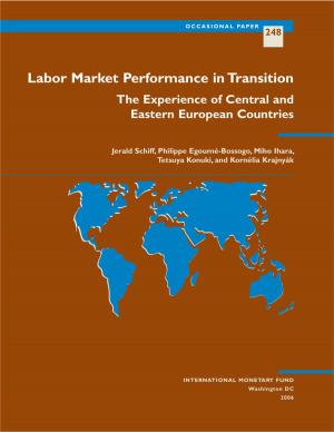 Cover of the book Labor Market Performance in Transition: The Experience of Central and Eastern European Countries by Jennifer Ms. Elliott, Aditya Narain, Ian Tower, José Vinãls, Pierluigi Bologna, Michael Hsu, Jonathan Fiechter