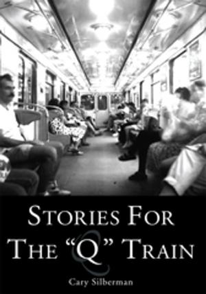 Cover of the book Stories for the "Q" Train by Mary Hilaire Tavenner PhD