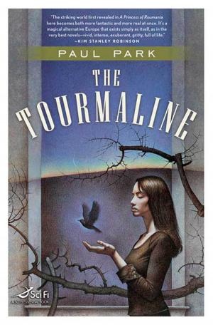 Cover of the book The Tourmaline by Mick Farren