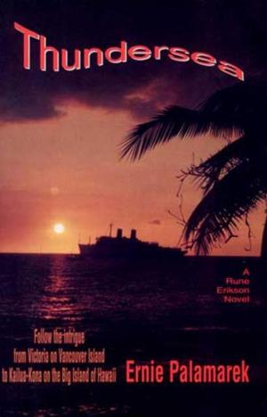 Cover of the book Thundersea by Dick Warn