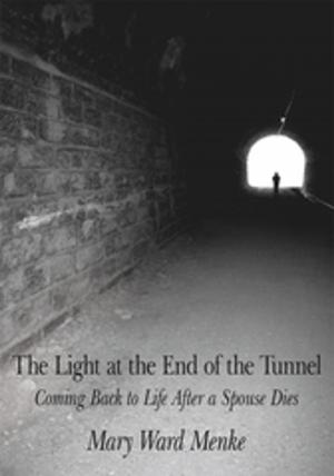 Cover of the book The Light at the End of the Tunnel by Charles Grice