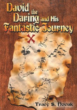 Cover of the book David the Daring and His Fantastic Journey by Linda Kay Silva