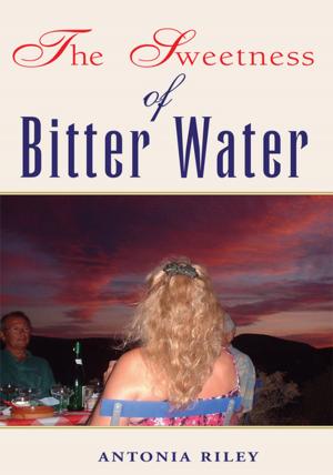 Book cover of The Sweetness of Bitter Water