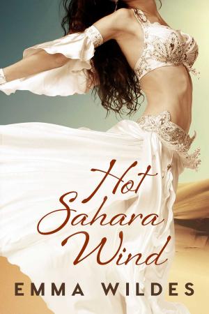 Cover of the book Hot Sahara Wind by Constantine De Bohon