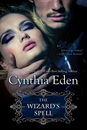 Book cover of The Wizard's Spell
